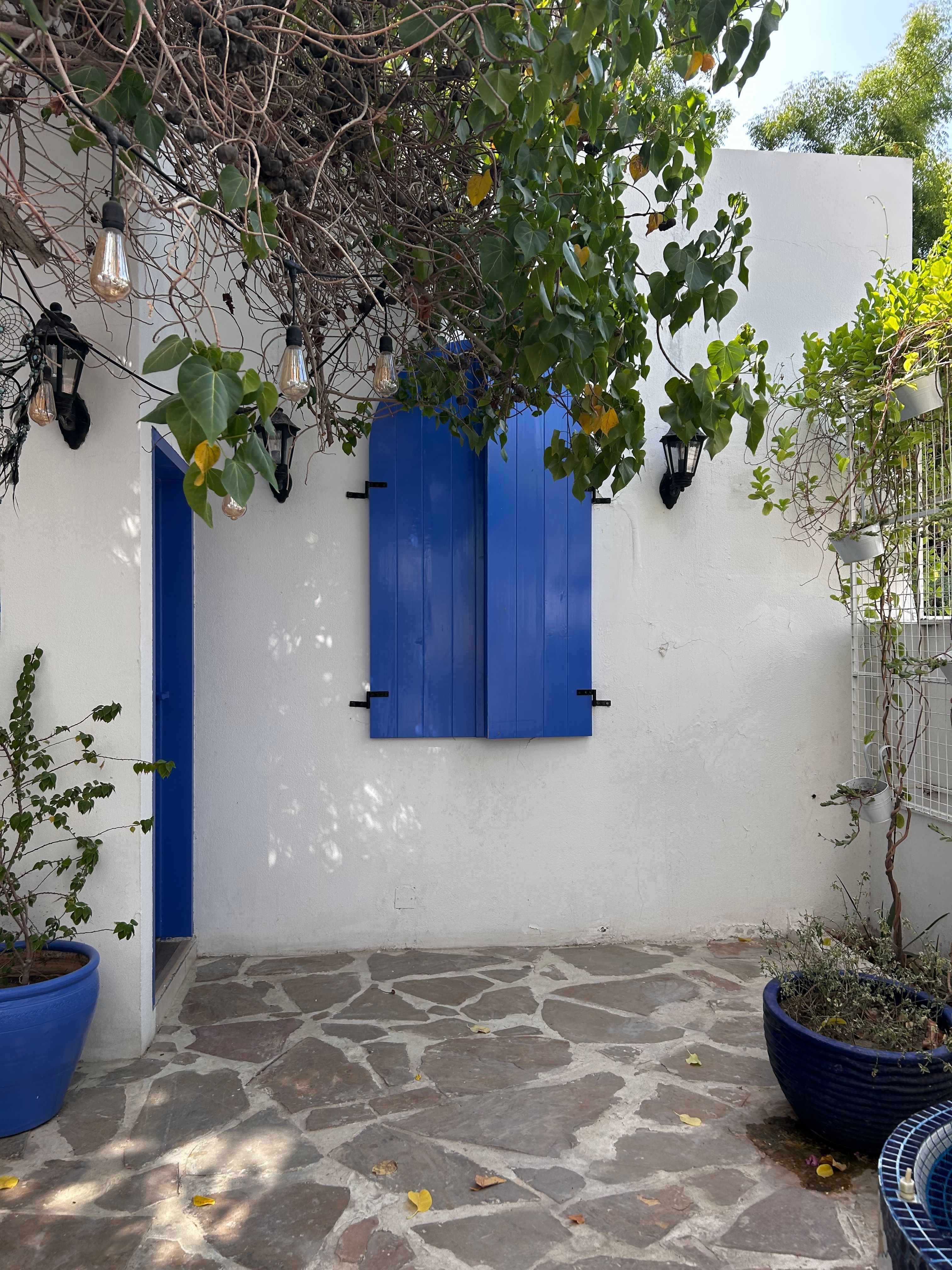 Rustic courtyard featuring vibrant blue shutters, natural stone flooring, and lush greenery thriving in natural light.