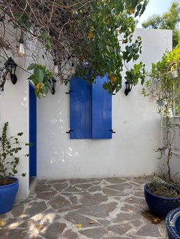 Rustic courtyard featuring vibrant blue shutters, natural stone flooring, and lush greenery thriving in natural light.