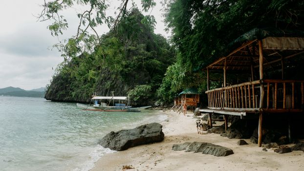 Coron WWII wreck diving — Palawan