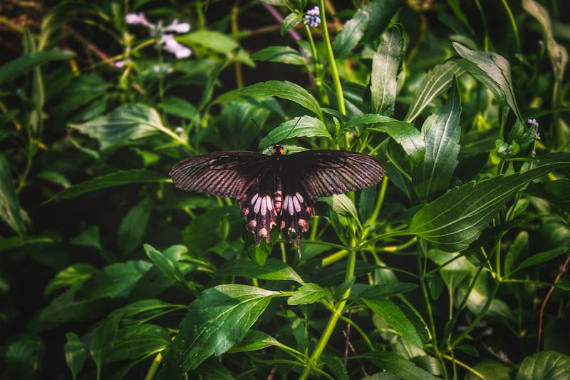 Дыхательные циклы и восстановление