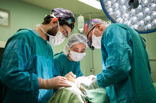 Free A focused surgical team operating in a brightly lit hospital room, showcasing teamwork and precision. Stock Photo