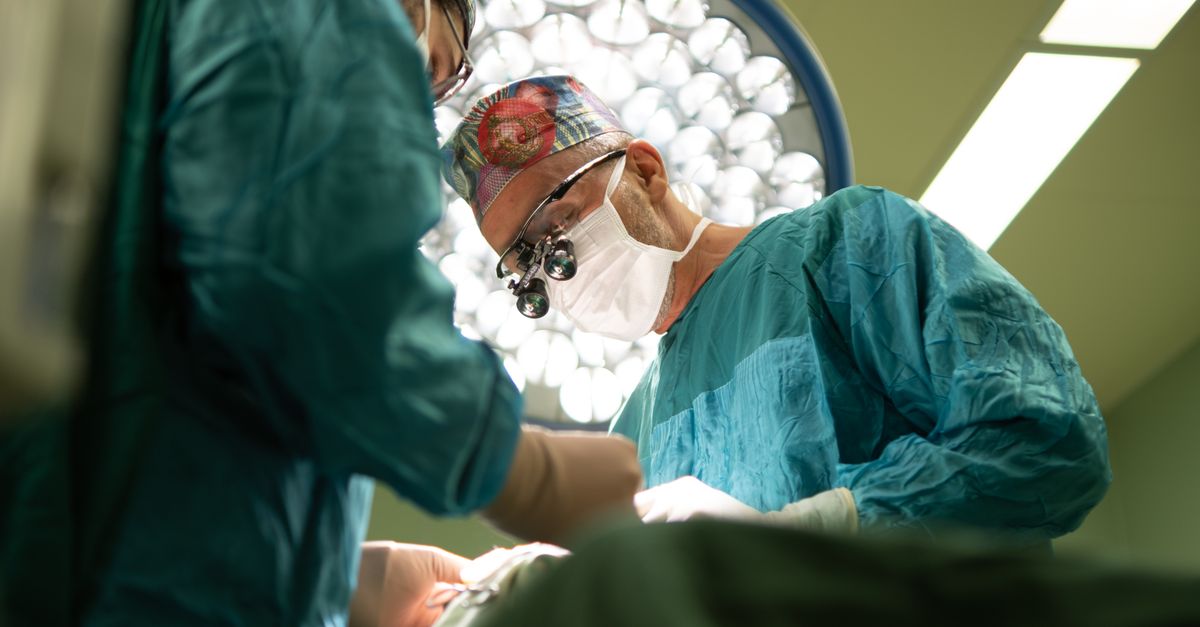 UHealth Neurology and Neurosurgery Program's Excellence Recognized