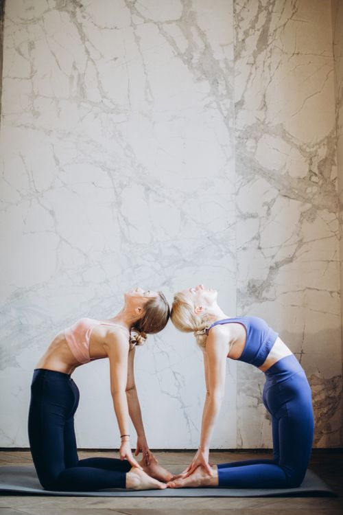 Free Two women in yoga poses indoors, showcasing flexibility and fitness. Stock Photo