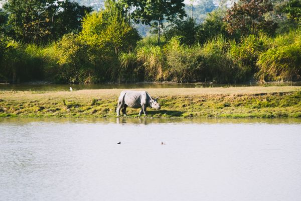 02N KATHMANDU + 2N CHITWAN - Activity & Sightseeing