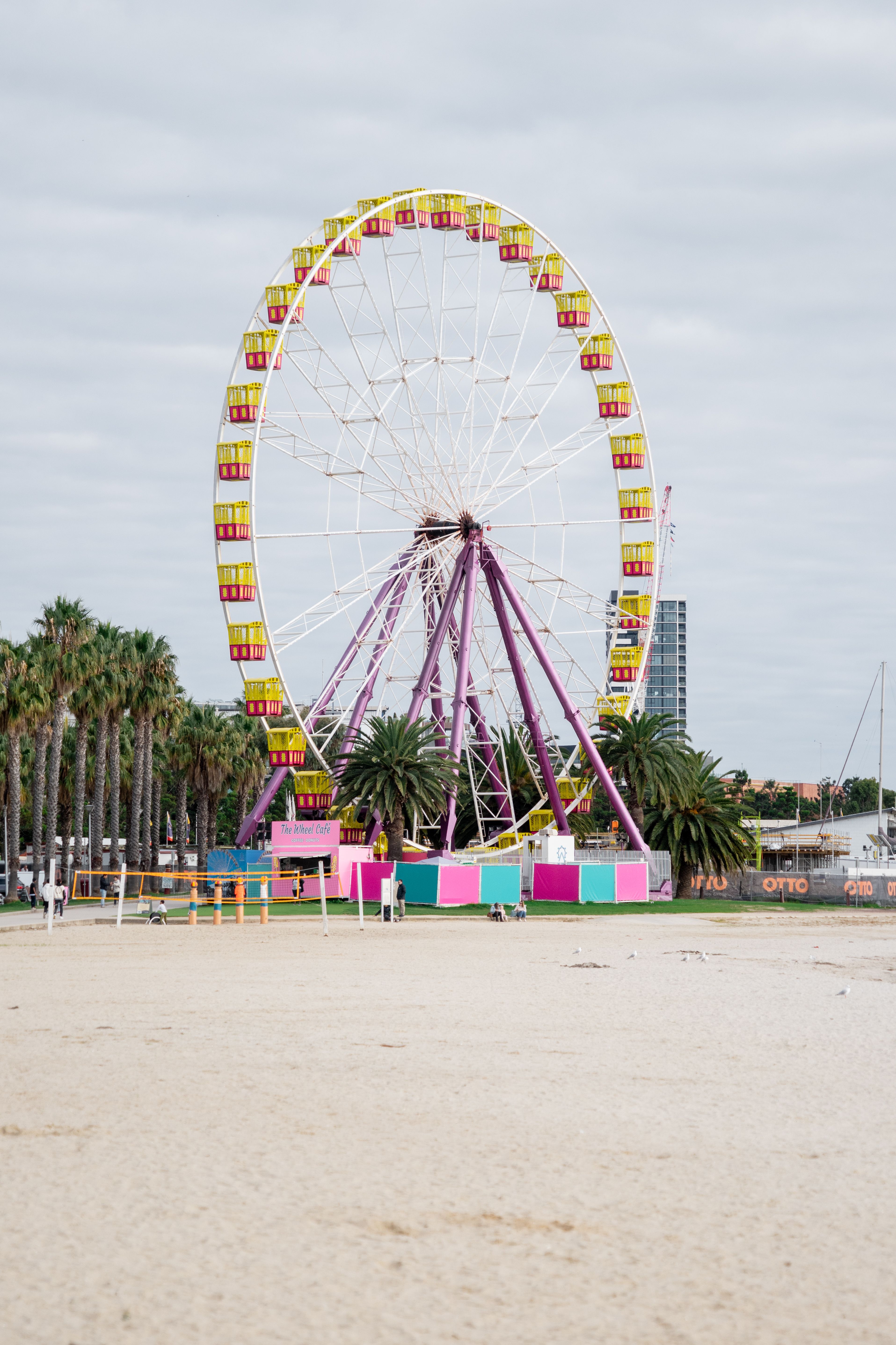 Bright Ferris wheel stands out by the beachfront with palm trees nearby, ideal for a vibrant coastal scene.