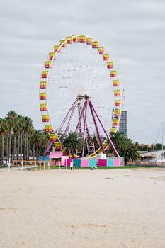 Bright Ferris wheel stands out by the beachfront with palm trees nearby, ideal for a vibrant coastal scene.