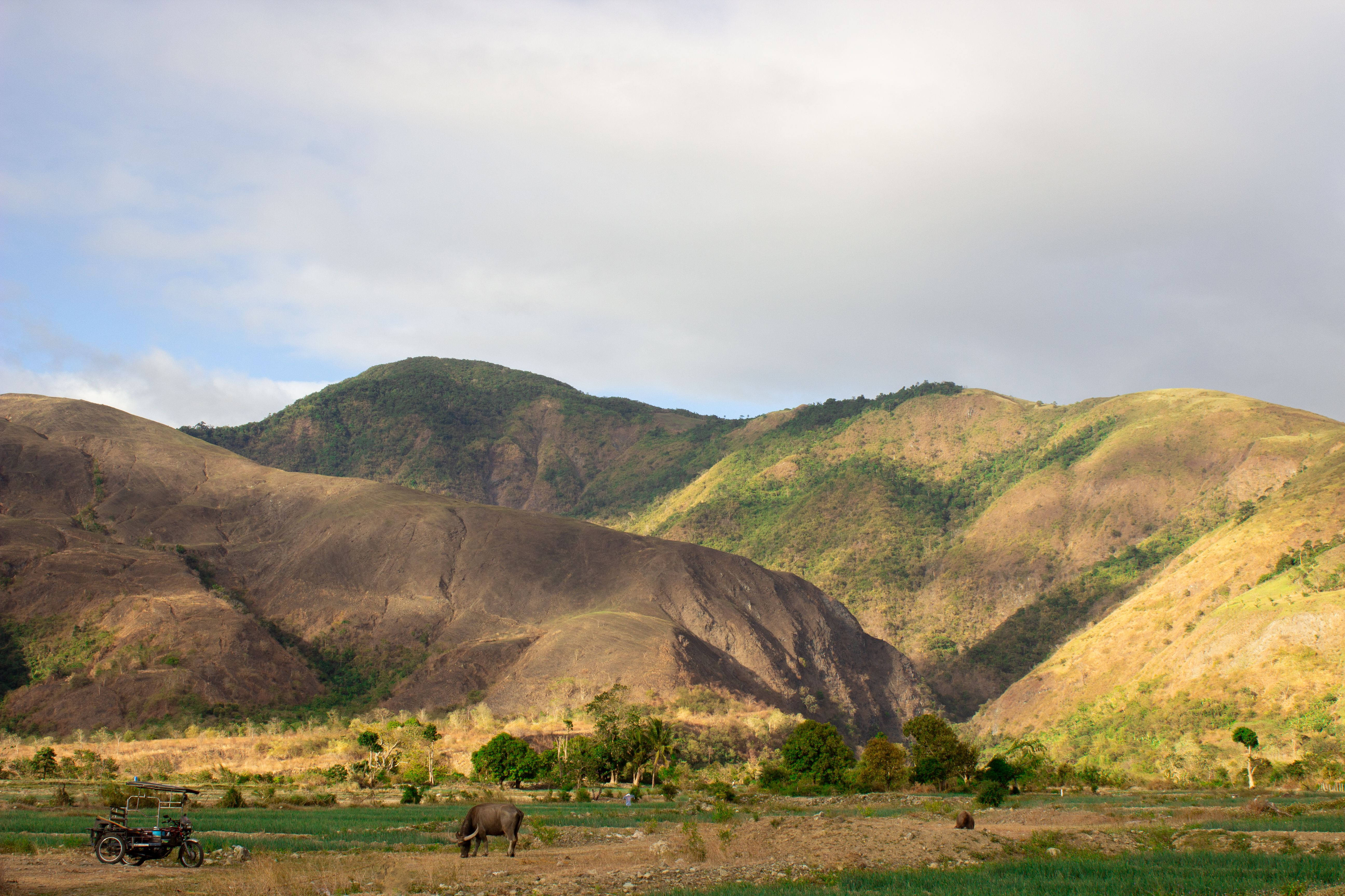 Photo of Timor-Leste