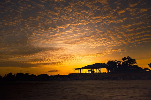 日落时分，平静的海滩上，金色的天空勾勒出令人惊叹的轮廓