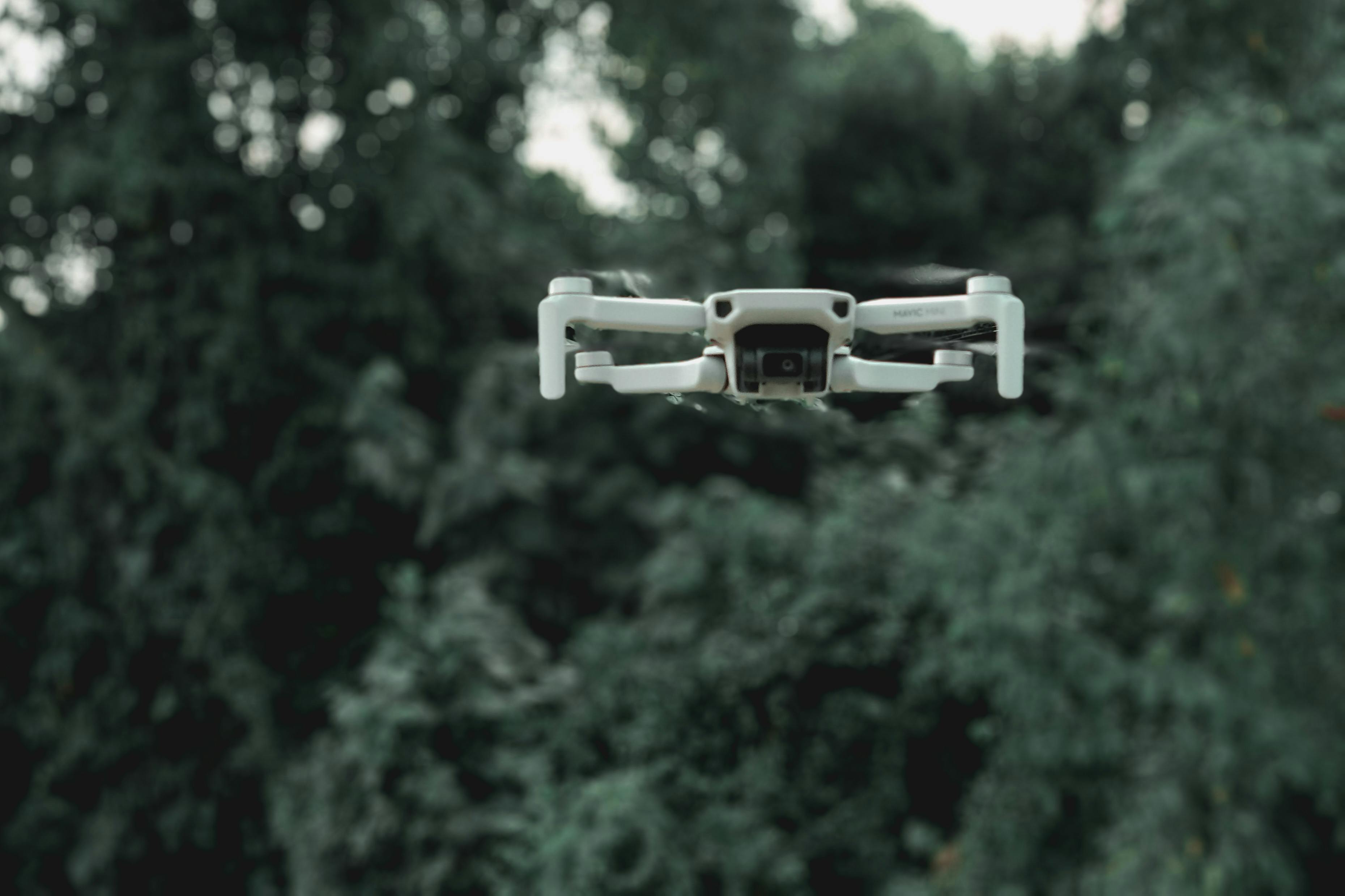 drone flying near green trees in forest