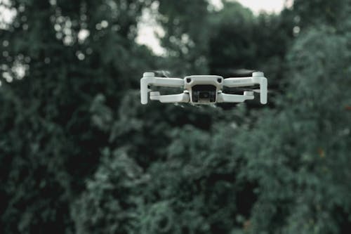 Free Drone flying near green trees in forest Stock Photo