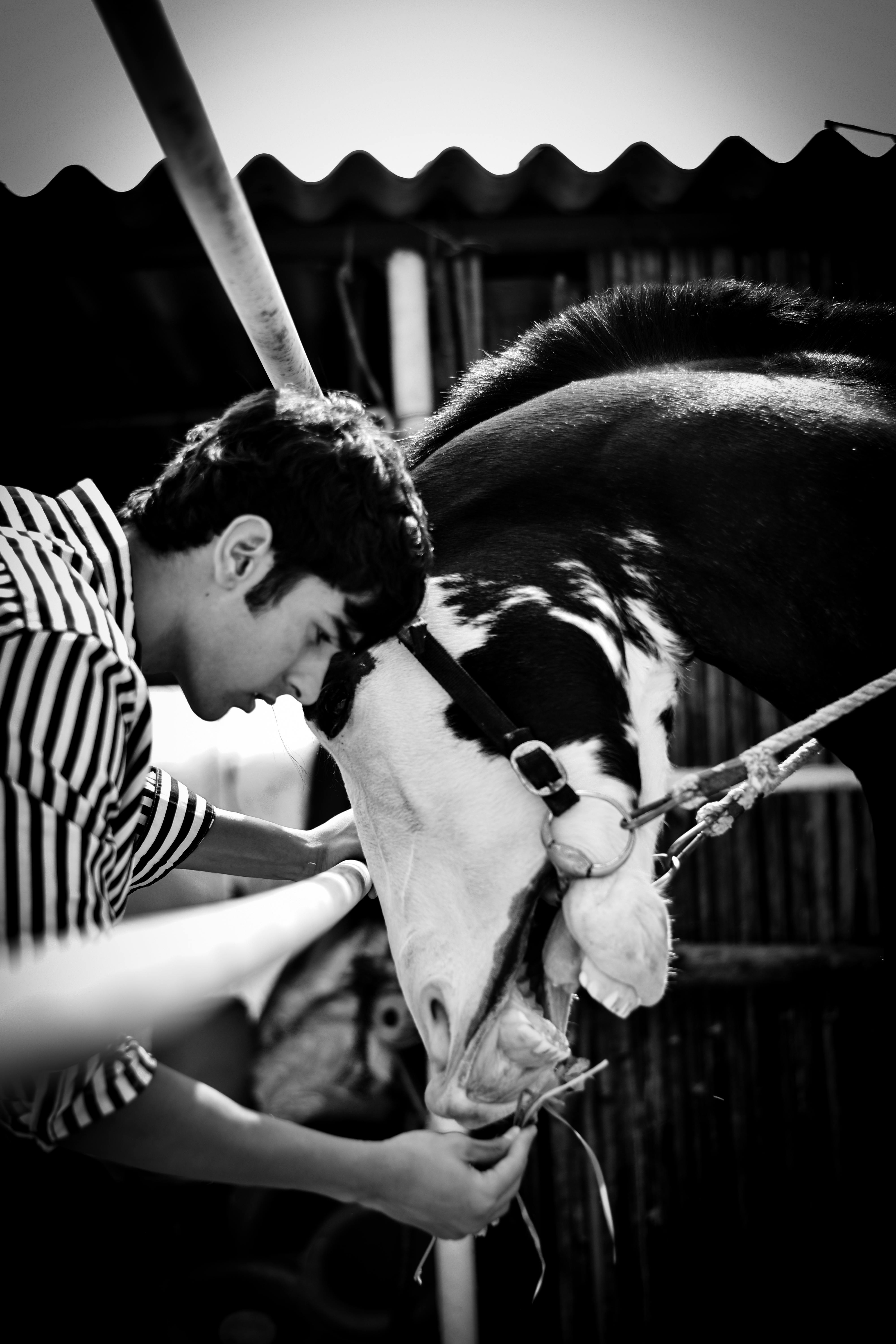 Crowd cheering with bright arena lights during a live event