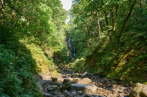 Free A picturesque waterfall cascades through a verdant forest in Scotland's summer landscape. Stock Photo