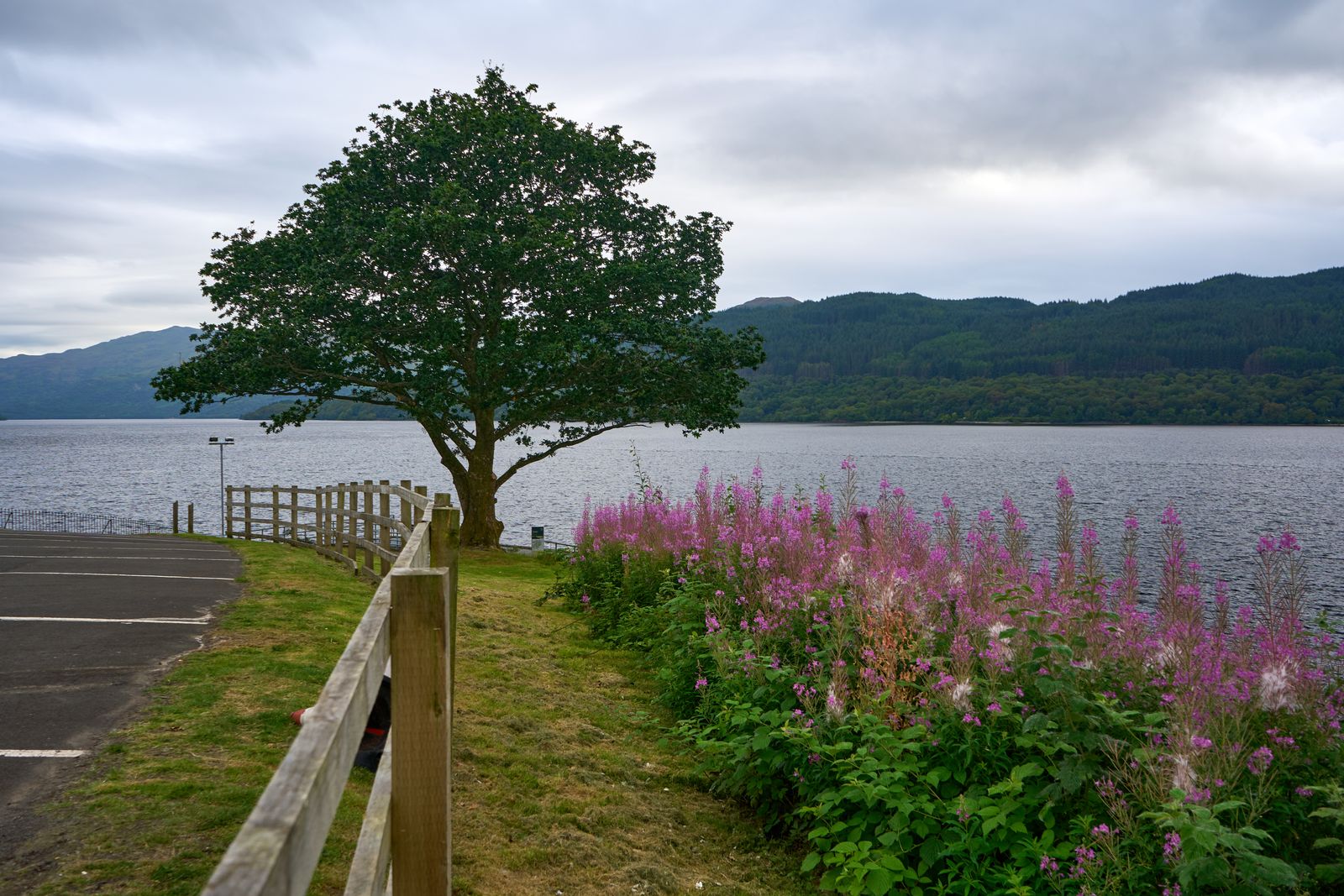 Loch Lomond with lush green hills and calm waters under a cloudy sky