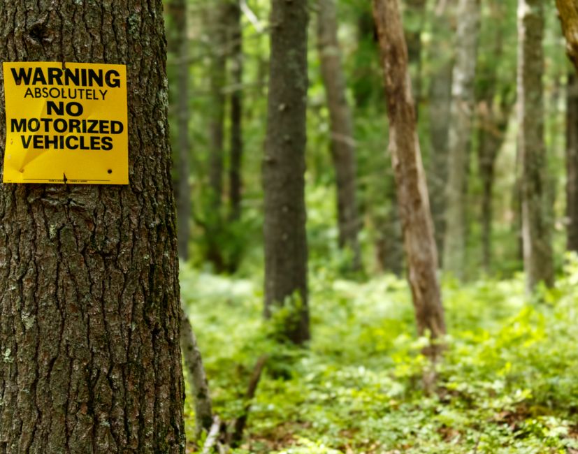 Tribal Affairs Ministry States Forest Rights Act Does Not Require Gram Sabha Consent