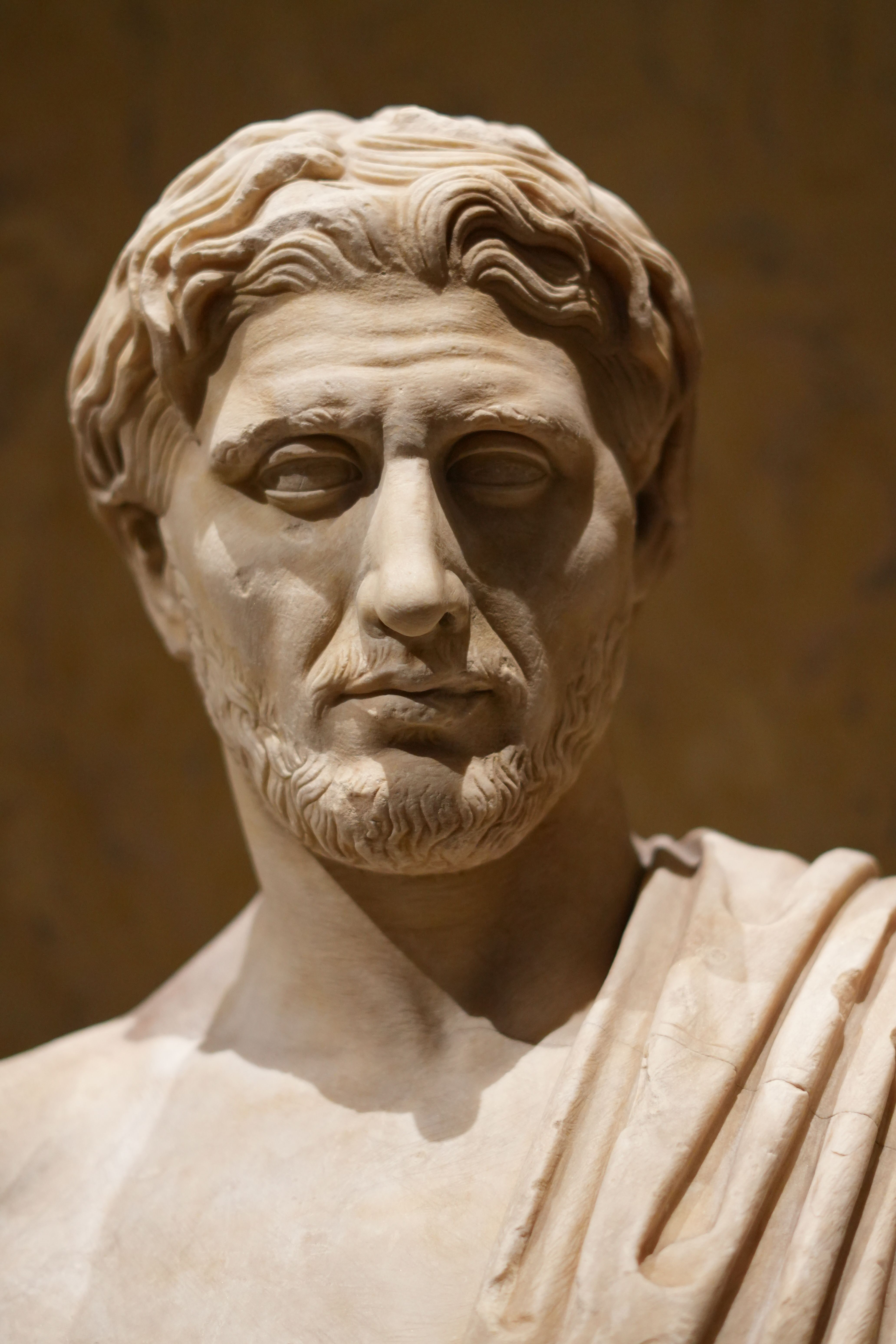 A detailed Roman marble bust depicting a bearded man, displayed indoors in a Vienna museum.