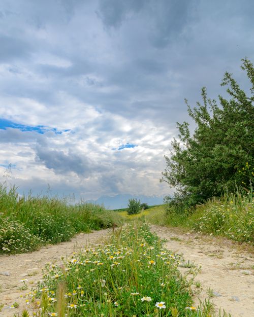 Free A serene dirt path winds through lush green foliage under a dramatic cloudy sky in Denizli, Türkiye. Stock Photo