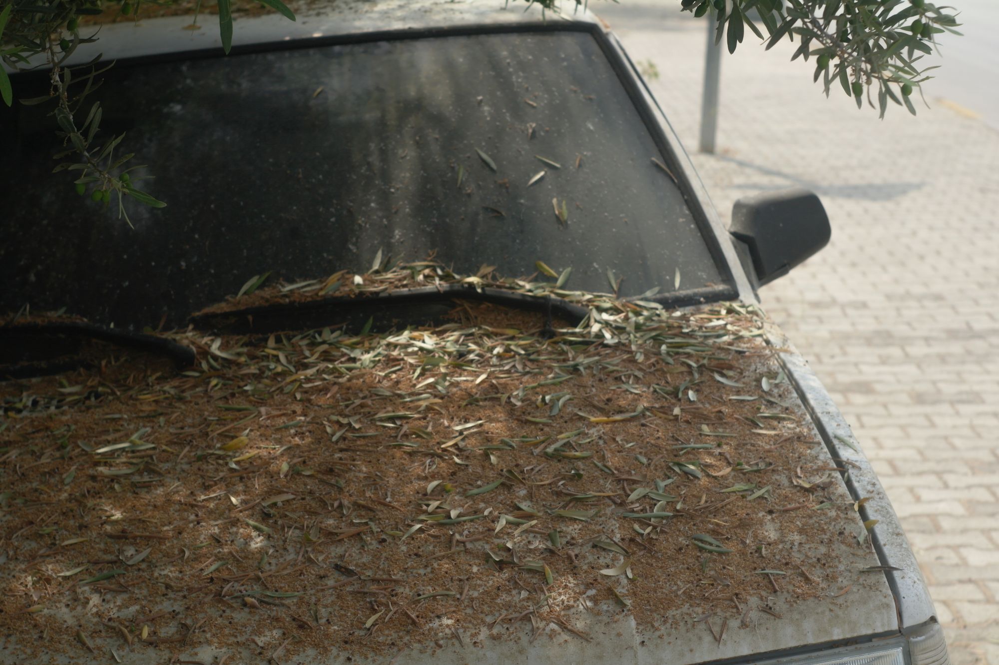 Parabrisas de un automóvil cubierto por una capa de polvo gris