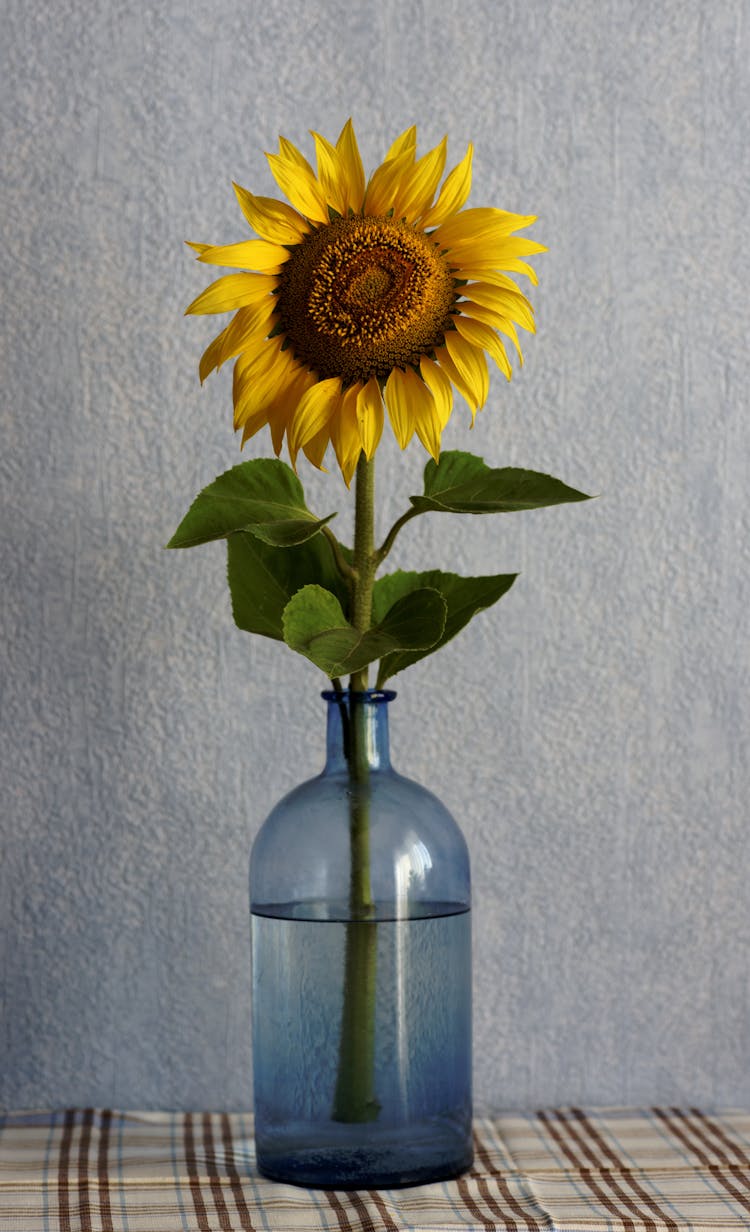 Yellow Sunflower In Clear Glass Vase