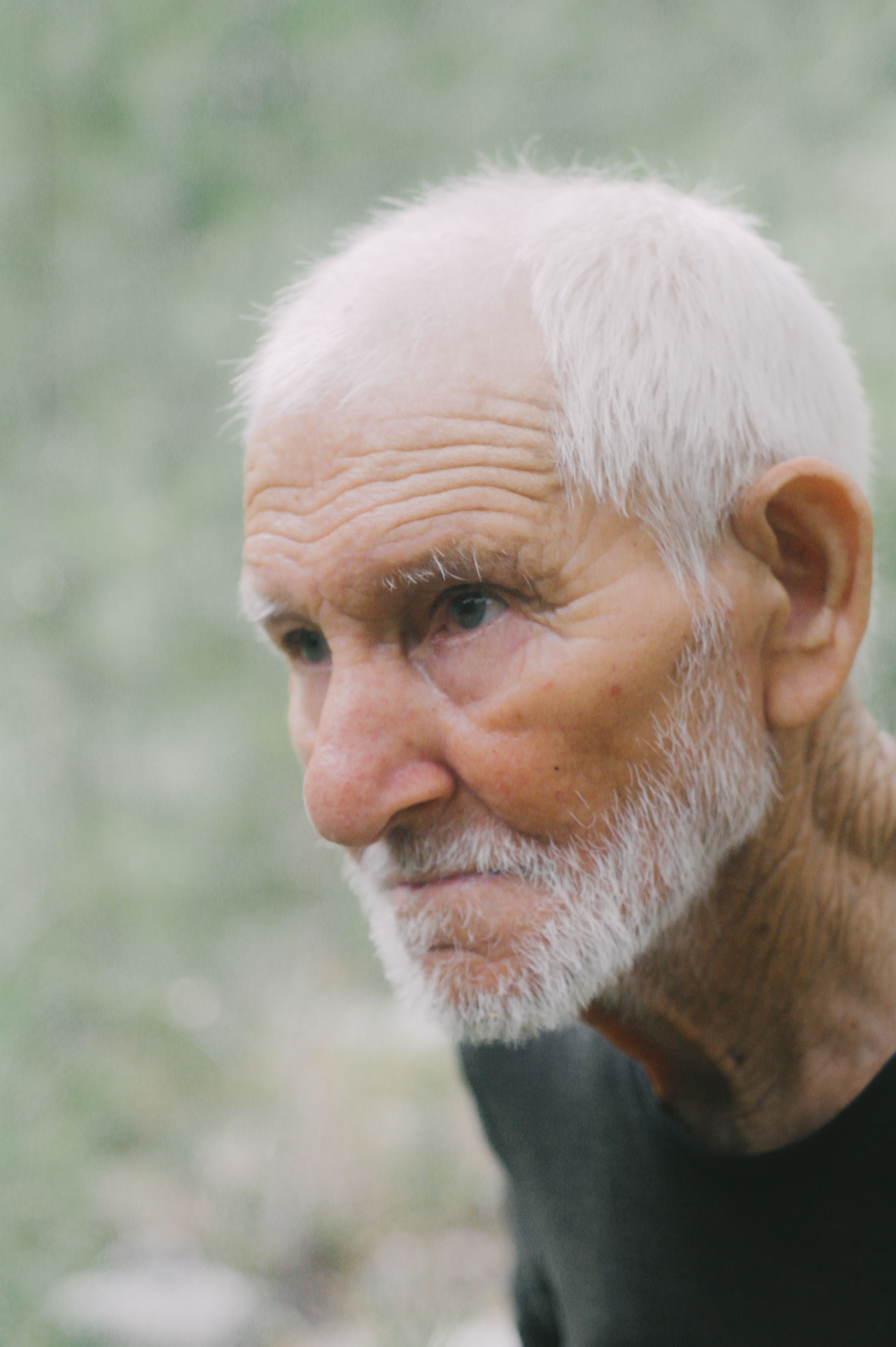 Close-up portrait of a thoughtful senior man with white hair and beard in a natural setting.