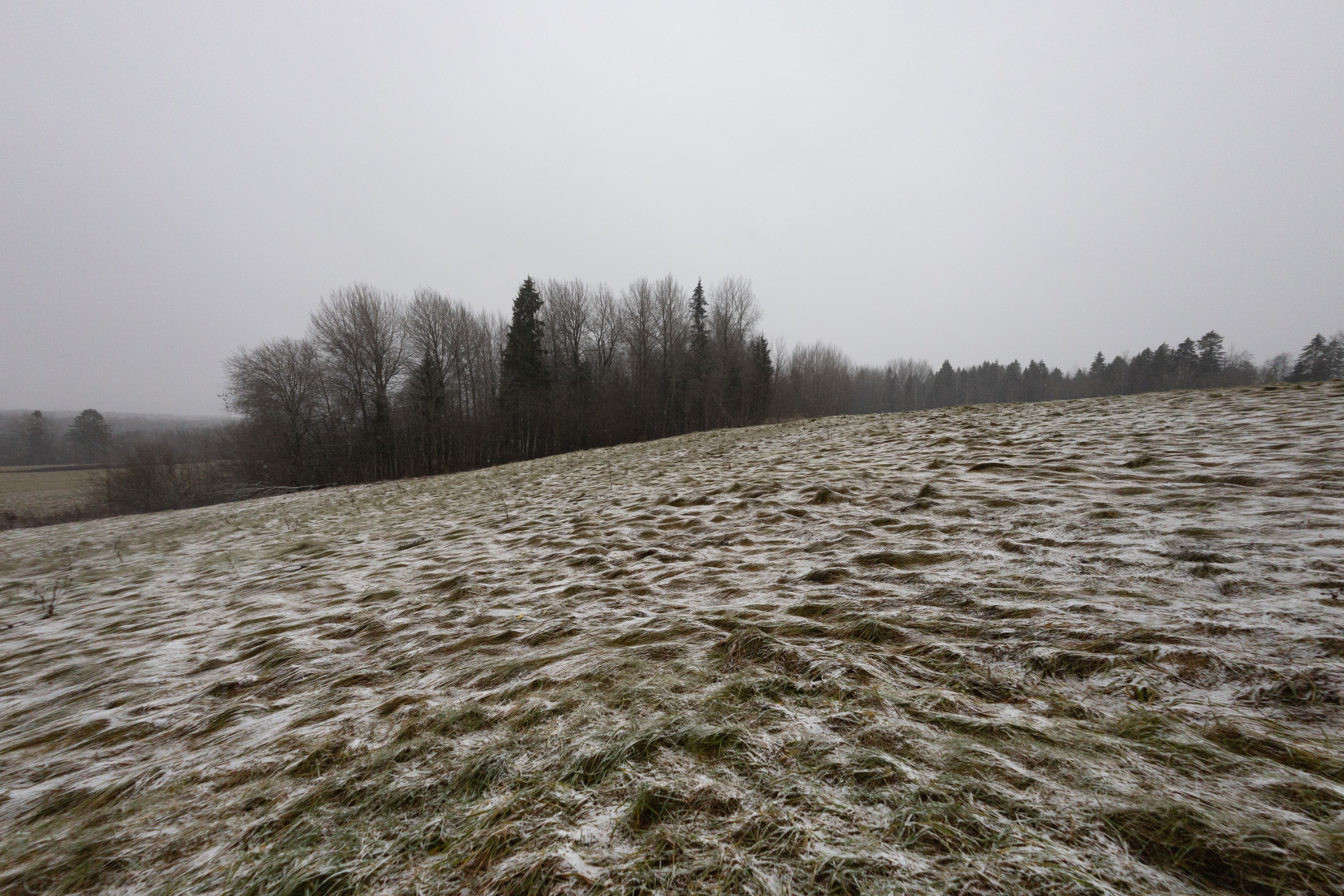 An empty hillside under a grey overcast sky