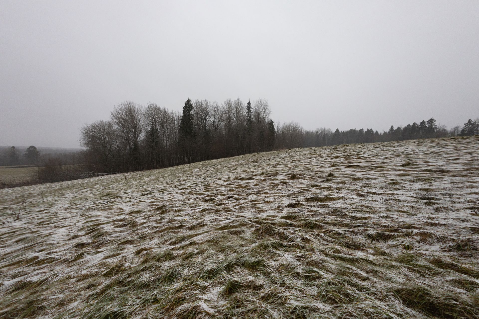 An empty hillside under a grey overcast sky