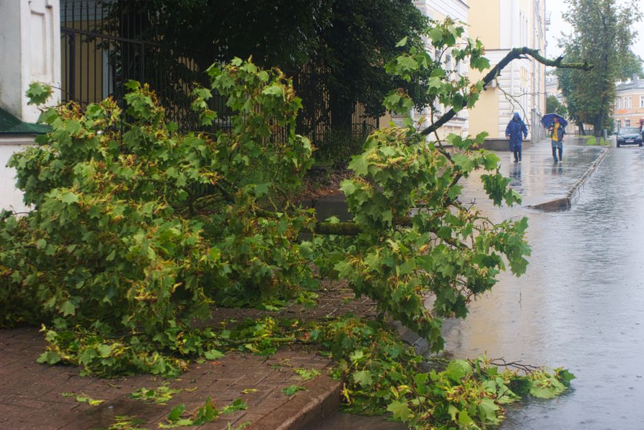Fallen tree branch after severe storm blocking pathway on residential property