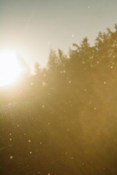 Sunrise illuminating dust particles against silhouette of trees, creating a magical golden atmosphere.