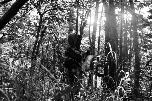 Free A mysterious person in a hooded jacket exploring a sunlit forest. Stock Photo