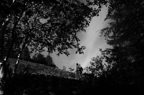 Free A lone silhouette of a person walking through a dense, shadowy forest landscape. Stock Photo