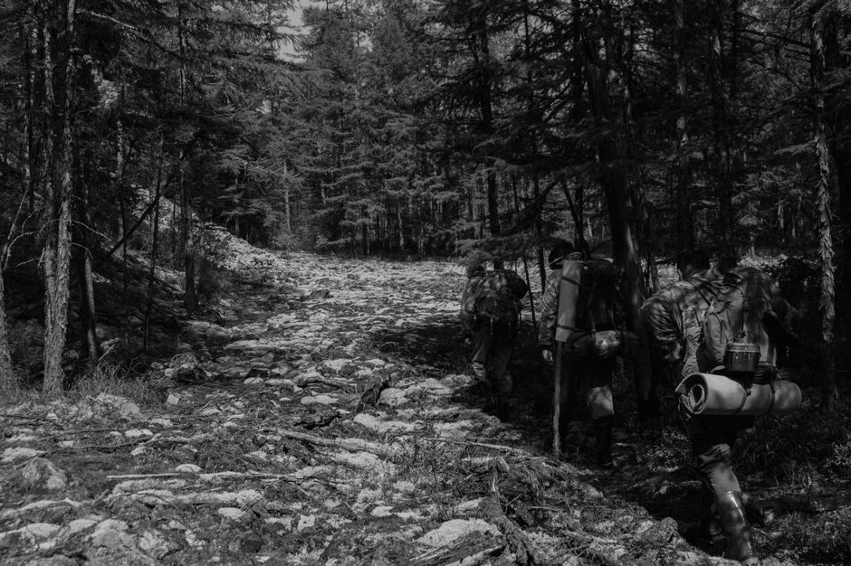Walkers Trekking 400KM From Toronto Are Headed Into Ottawa