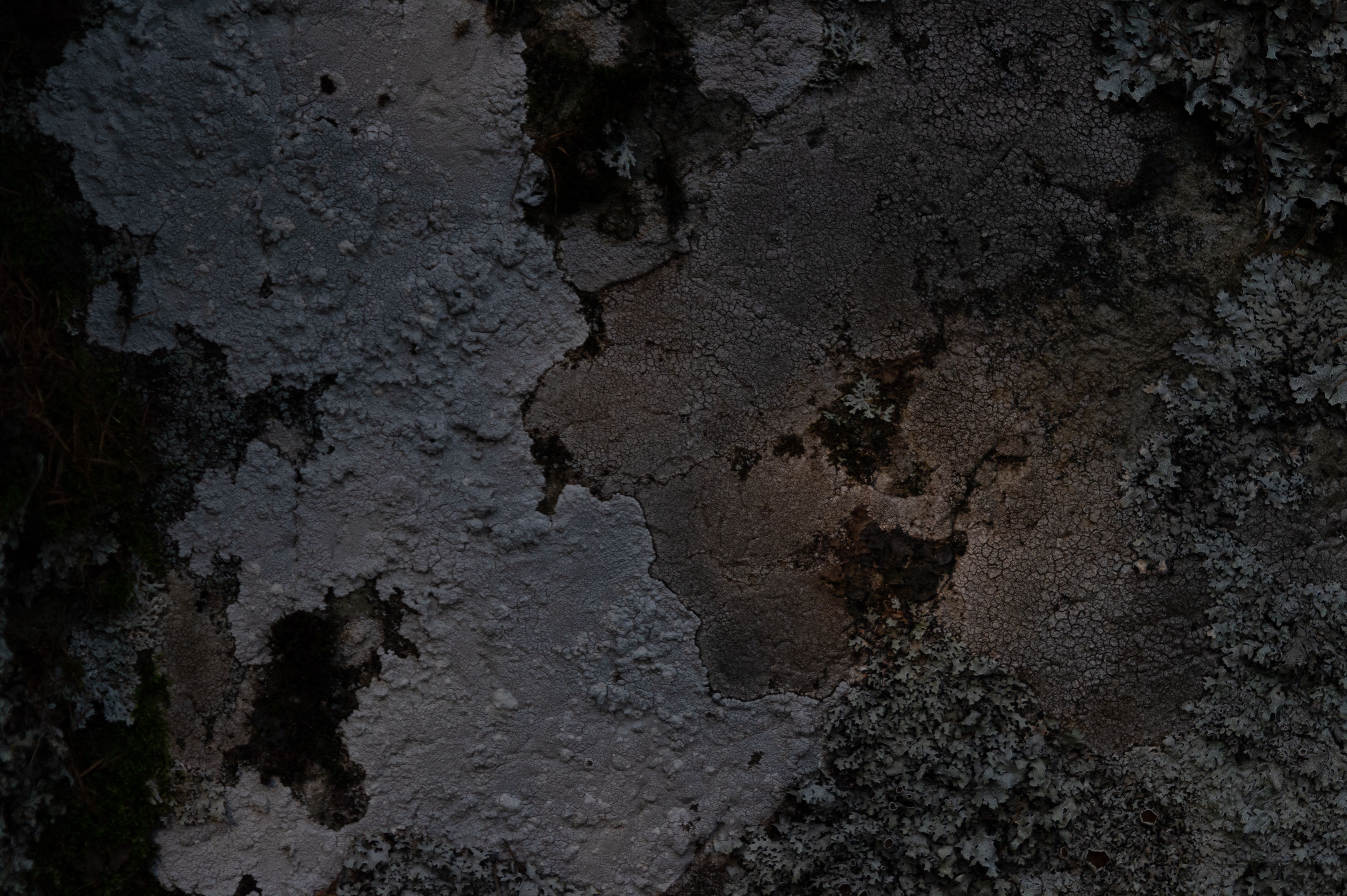 Detalle de molde pl&aacute;stico
