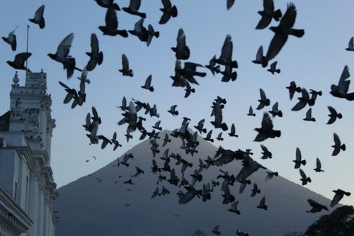 Free stock photo of antigua guatemala Stock Photo