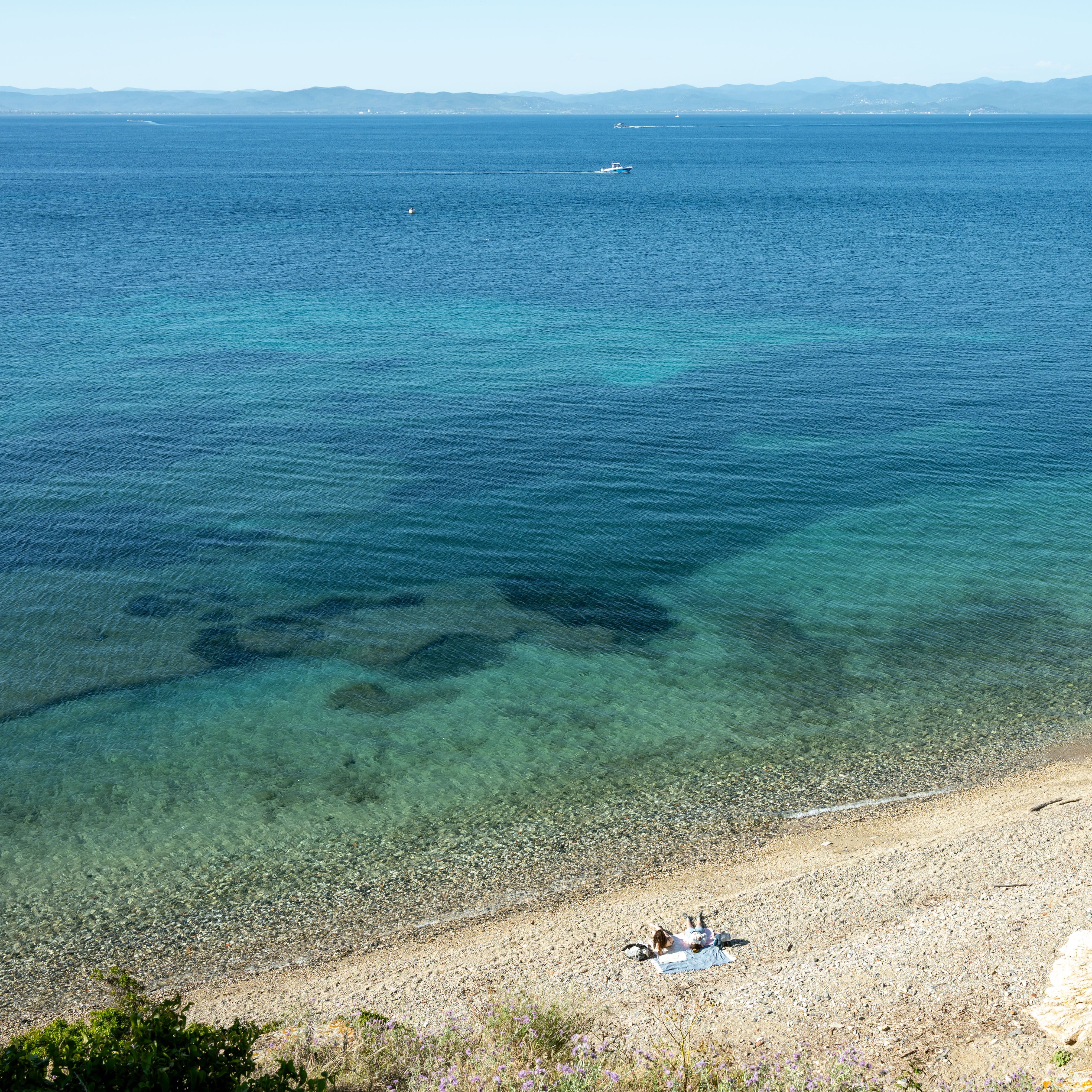 Corsica