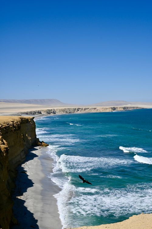 Free Breathtaking view of the Paracas coastline in Peru with dramatic cliffs and ocean waves. Stock Photo