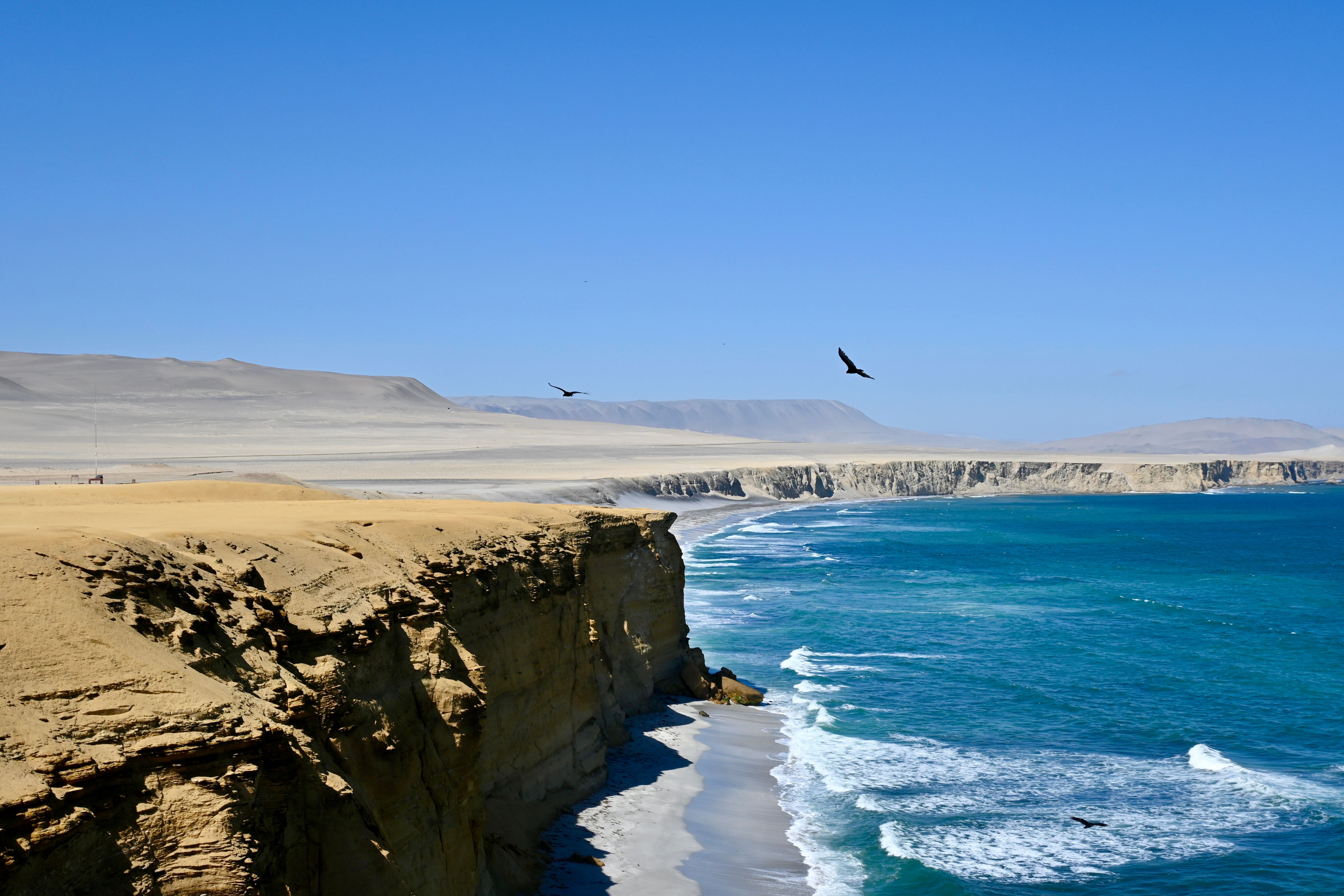 Breathtaking view of Paracas cliffs by the Pacific Ocean with vibrant blue waves and soaring birds. - Paracas