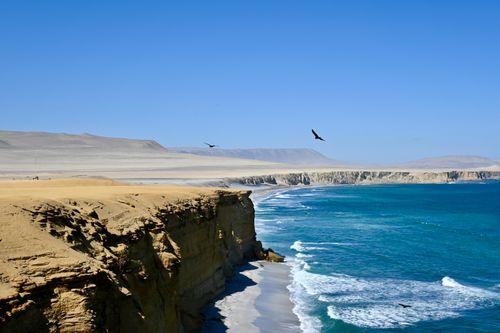 Free Breathtaking view of Paracas cliffs by the Pacific Ocean with vibrant blue waves and soaring birds. Stock Photo