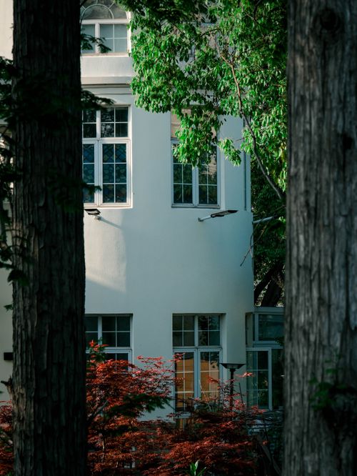 Free A modern building facade surrounded by lush greenery and trees. Stock Photo