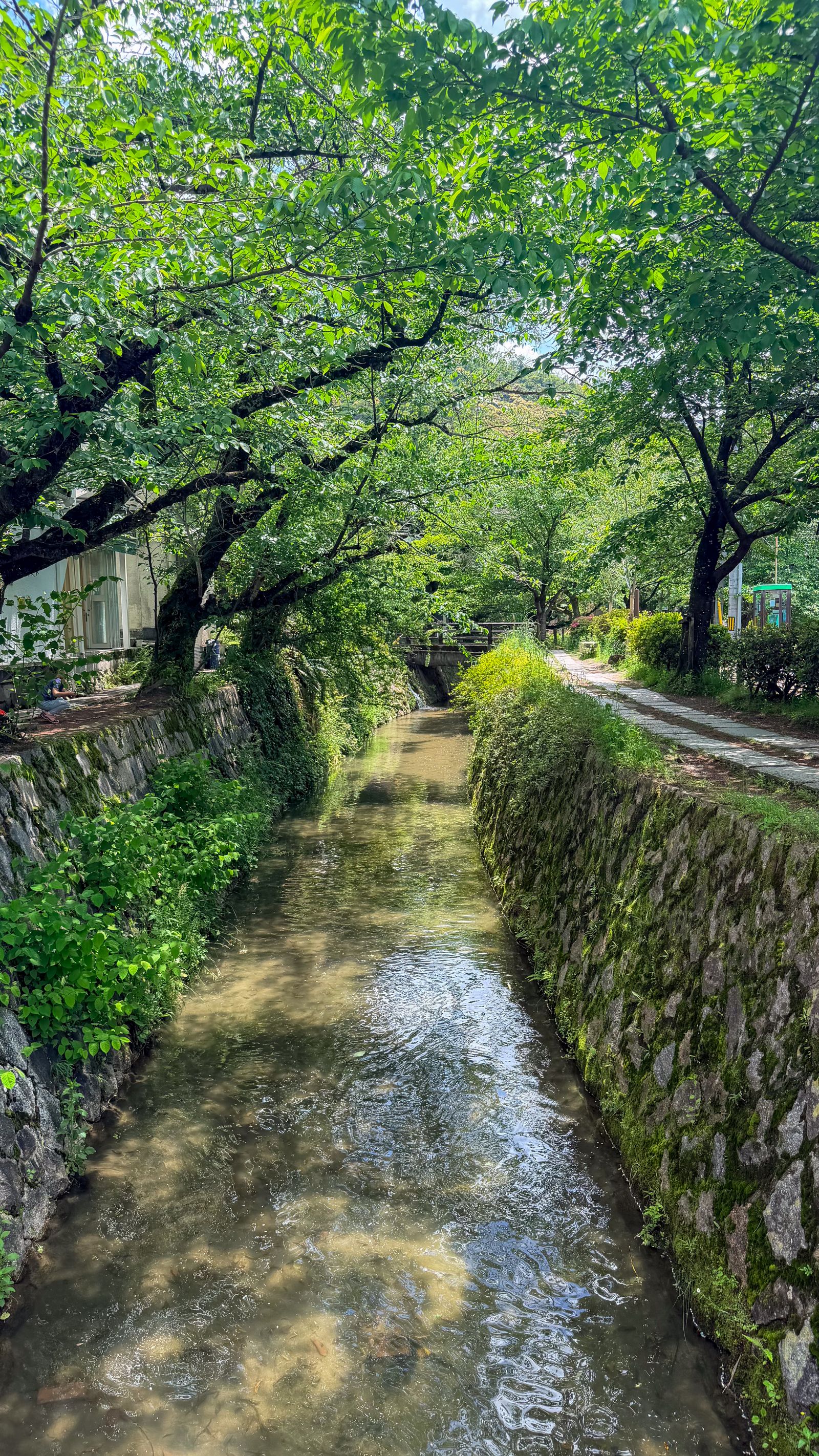 초록이 우거진 철학의 길. 돌로 쌓은 수로를 따라 나무 그늘이 드리운 산책로가 이어진다.
