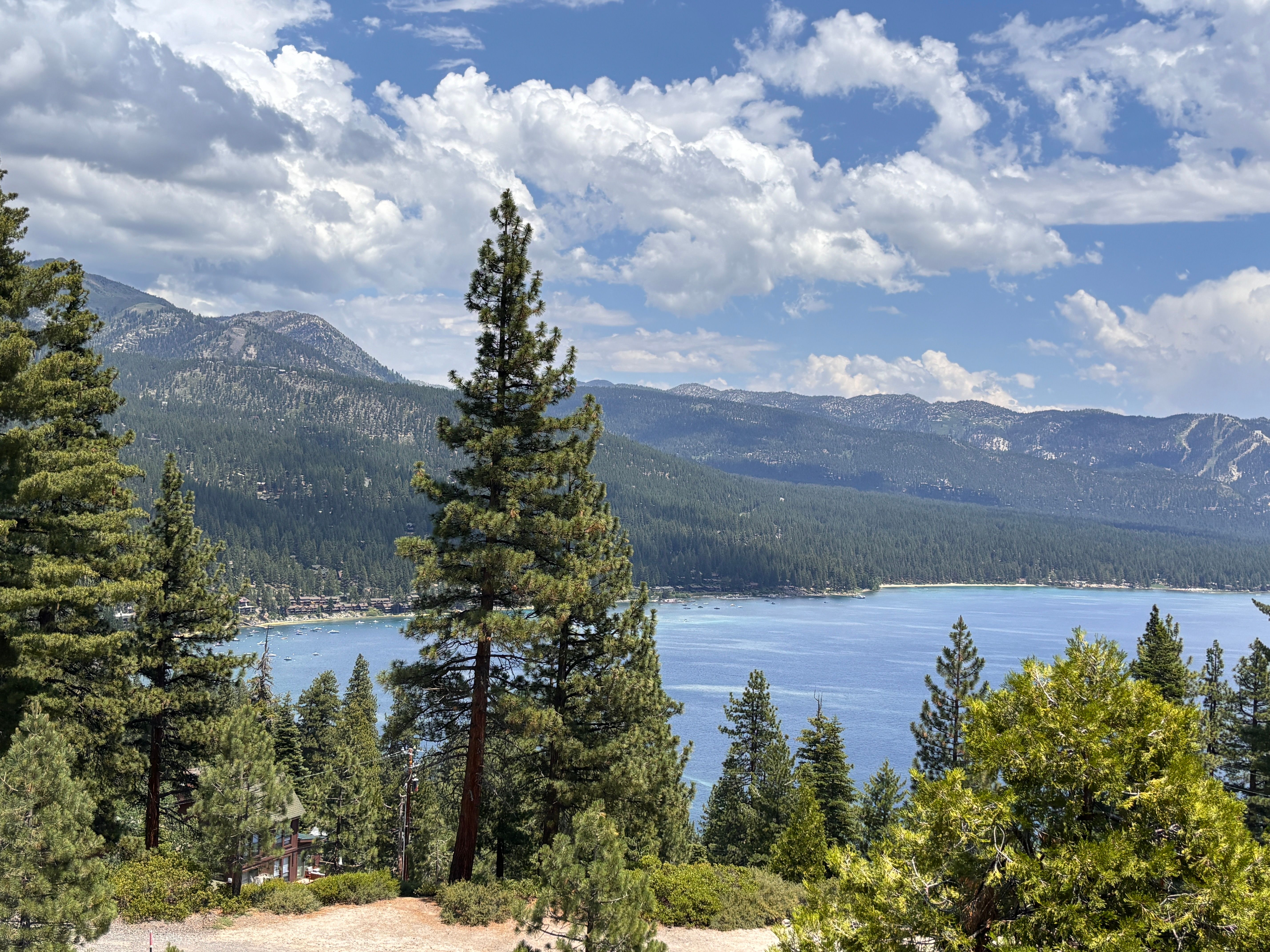 Tahoe City — Food, Tahoe City