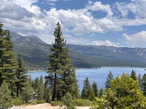 Free Breathtaking vista of Lake Tahoe surrounded by lush pine trees and majestic mountains under a blue sky. Stock Photo