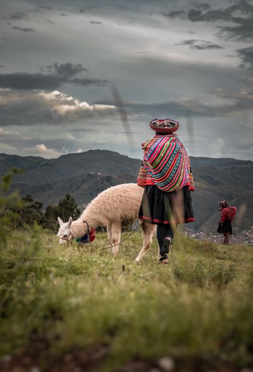 Free A Peruvian shepherd with a llama in traditional attire overlooking Cusco, Peru's mountainous landscape. Stock Photo