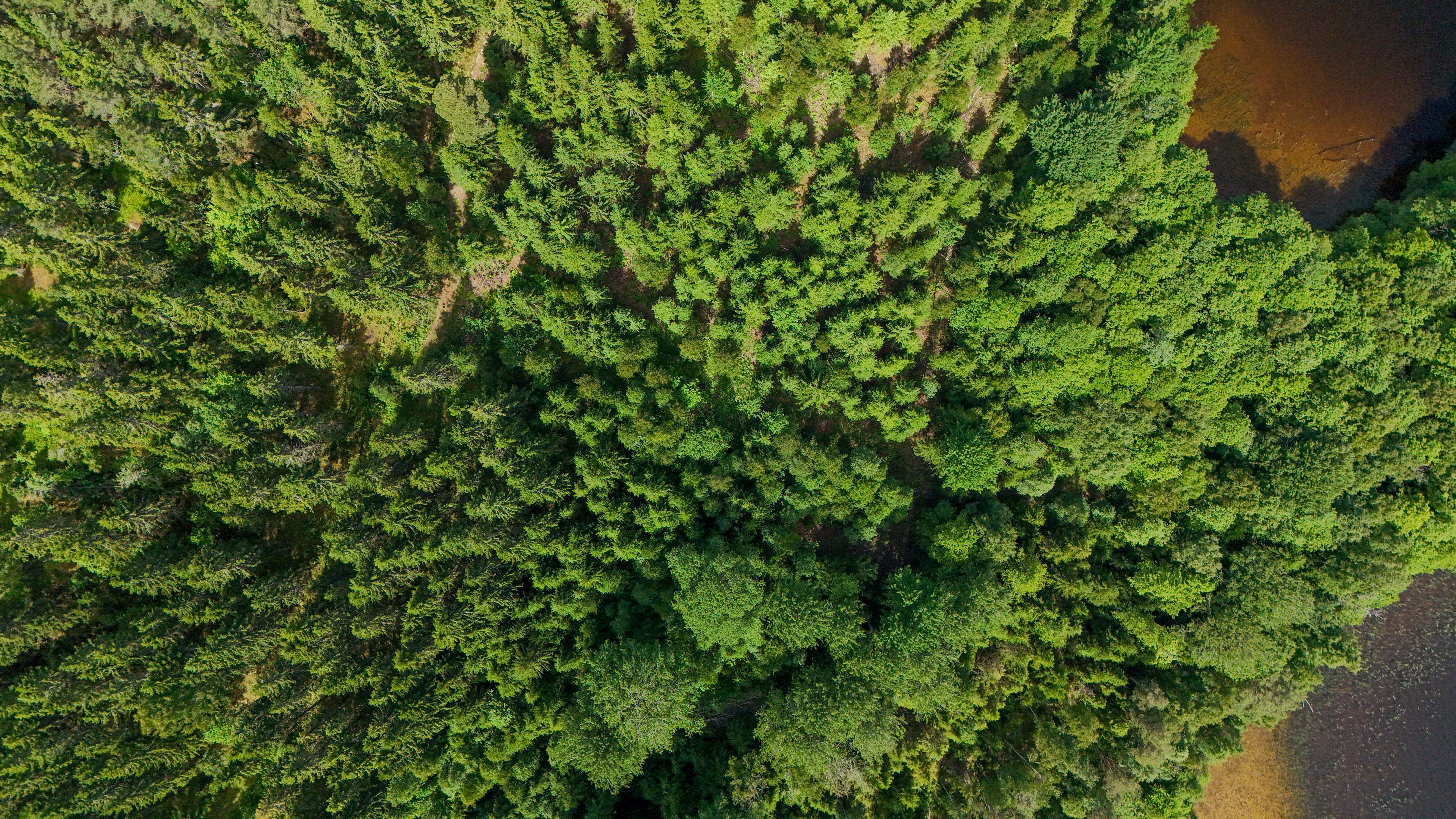 Gestão sustentável de recursos naturais