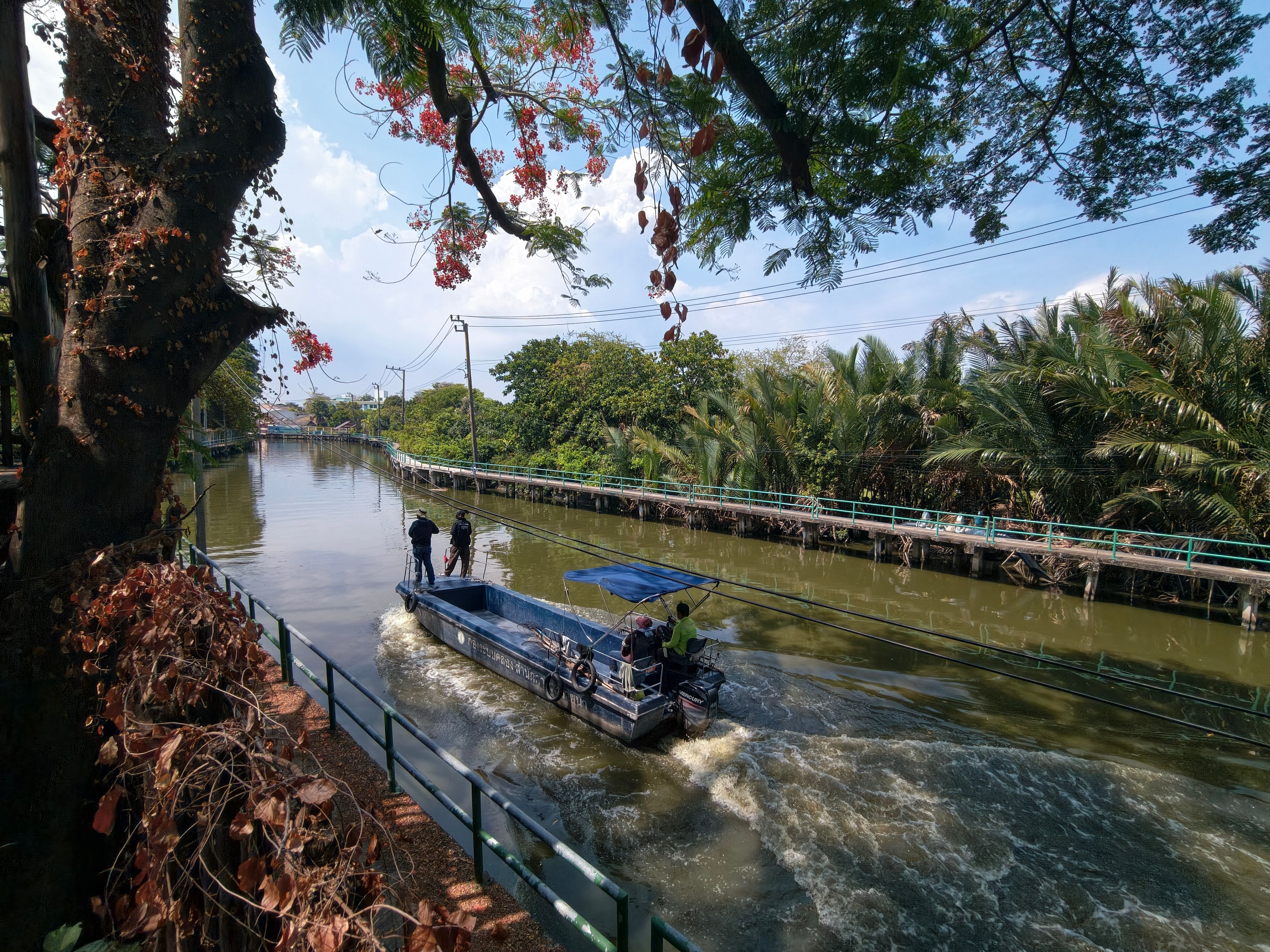 Free boat rides, health camps mark Women’s Day fete — Photo by Dale  Mohagan on Pexels