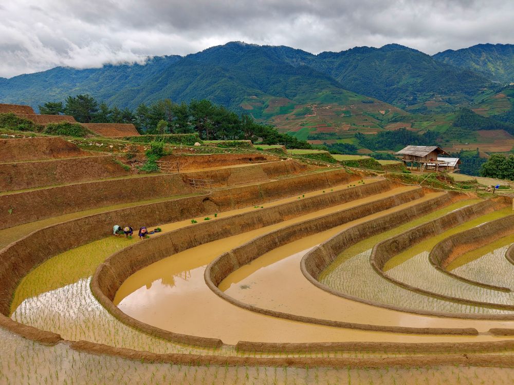 Stunning Rice Terraces in Southeast Asia Landscape · Free Stock Photo