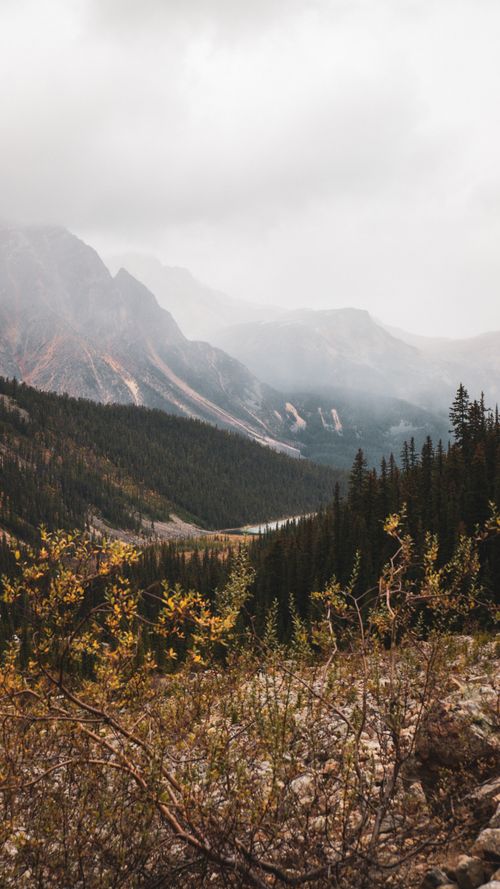 Free Breathtaking view of the Canadian Rockies with misty clouds and autumn foliage. Stock Photo