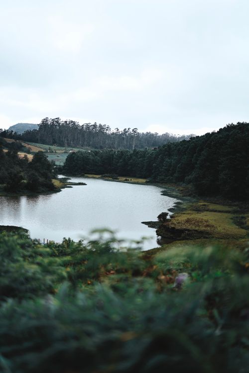 Free Tranquil scene of a lake surrounded by lush greenery and rolling hills in Ooty, perfect for nature lovers. Stock Photo
