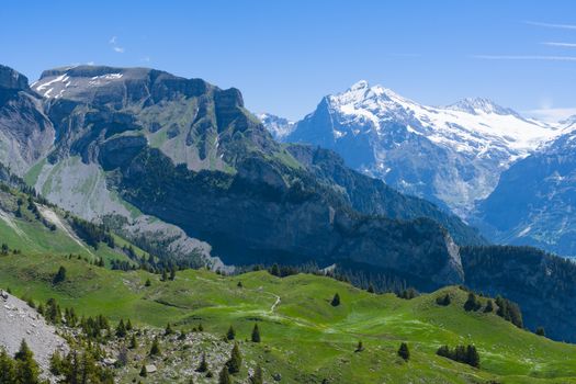 Breathtaking summer landscape of the Swiss Alps with green meadows and snowy peaks.
