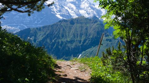 A breathtaking alpine pathway leading to a stunning view of a snow-capped mountain under a clear blue sky.