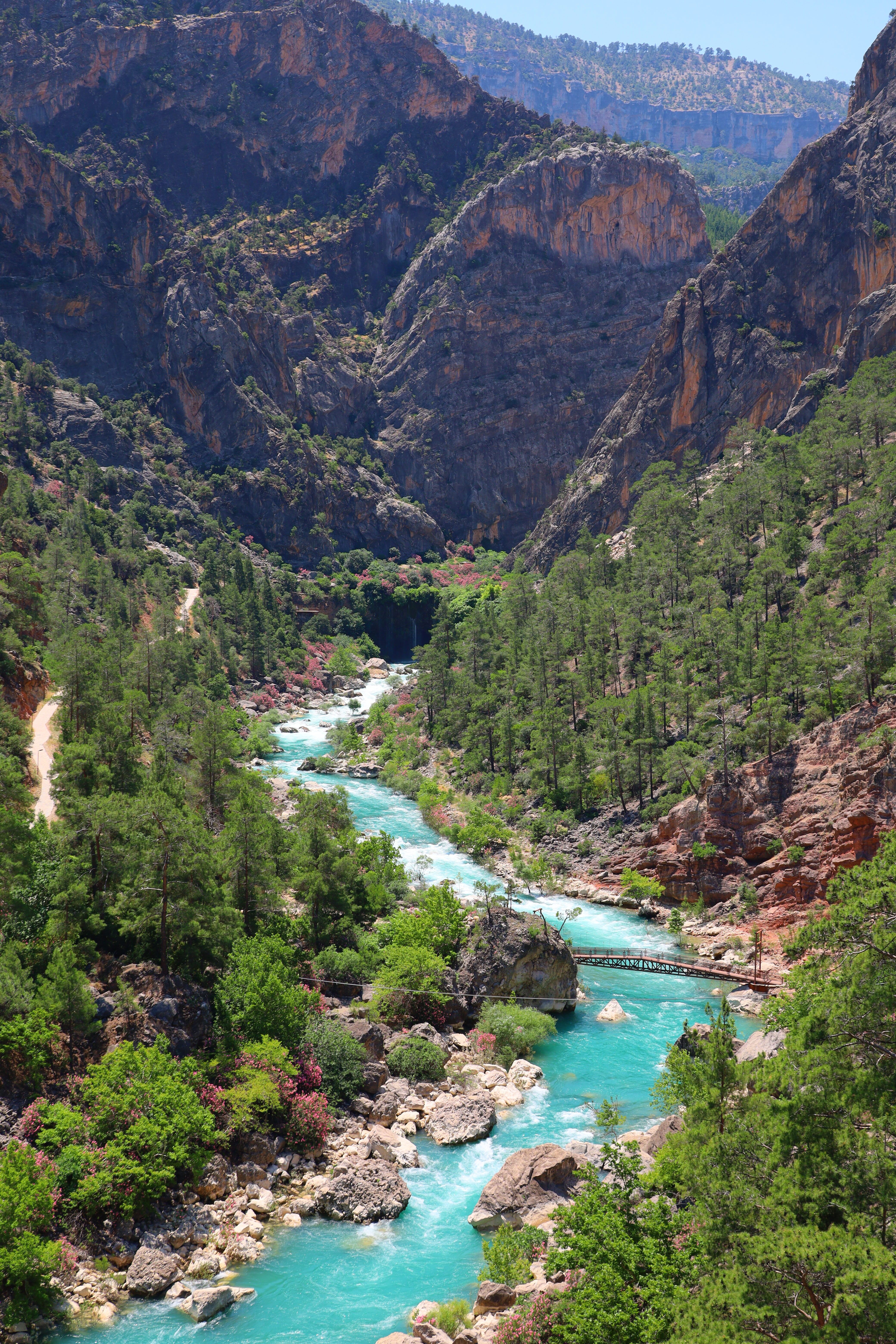Stunning view of a canyon with a vivid turquoise river flowing through lush greenery.