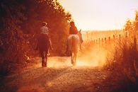 Back view of anonymous children riding purebred stallions on sandy walkway near growing trees and wooden fence on bright sunny day in countryside